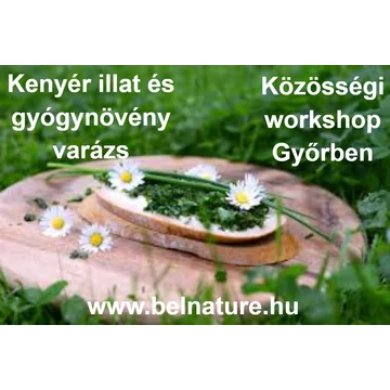 WORK SHOP GYŐR 